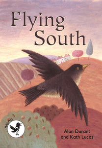 Level 3 Magpies - Flying South